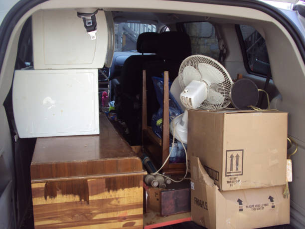 Best Hoarding Cleanup  in Rangely, CO
